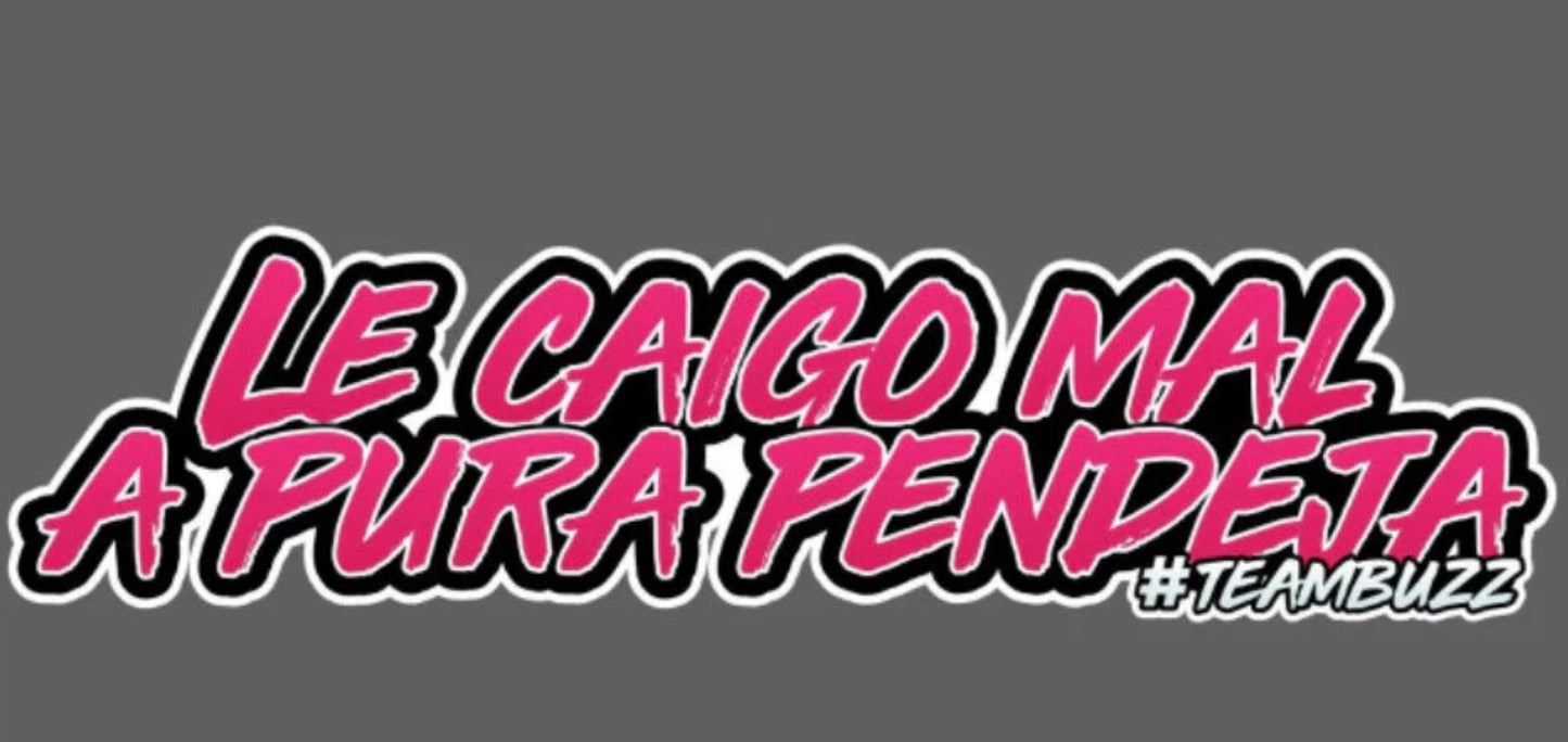 Sticker MINI - “Le caigo mal a puro pend*jo – #TeamBuzz” Rosa