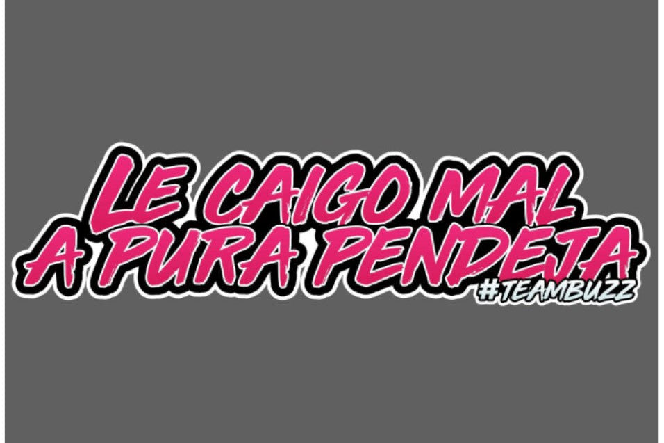 Sticker “Le caigo mal a puro pend*ja – #TeamBuzz” Pink